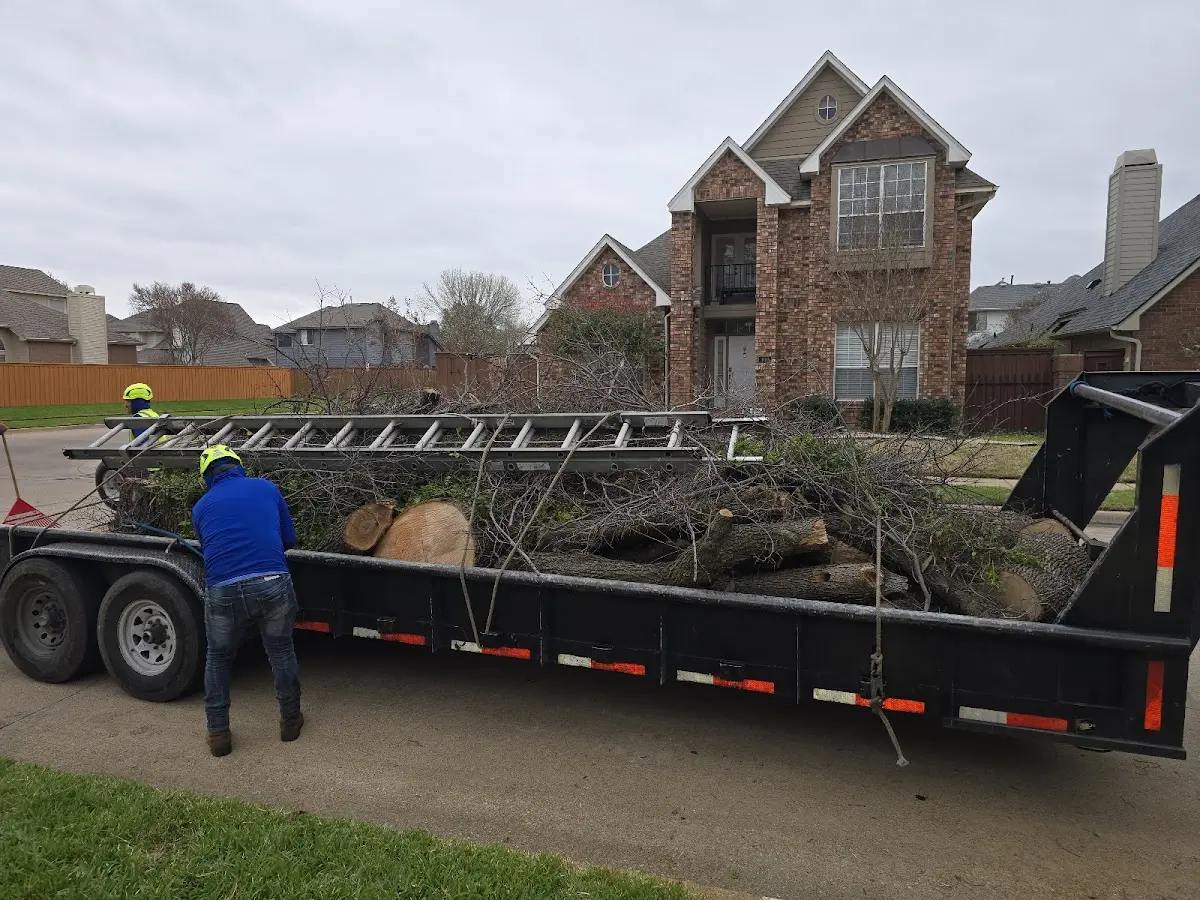 Expert Tree Fertilization with proper safety equipment in Oakwood